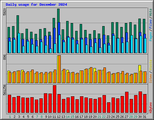 Daily usage for December 2024