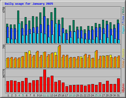 Daily usage for January 2025