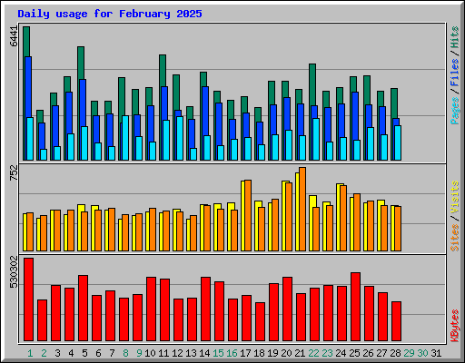 Daily usage for February 2025