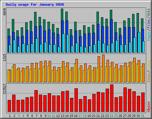 Daily usage for January 2026