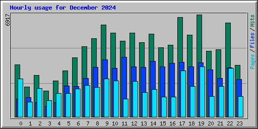Hourly usage for December 2024