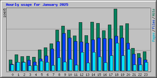 Hourly usage for January 2025