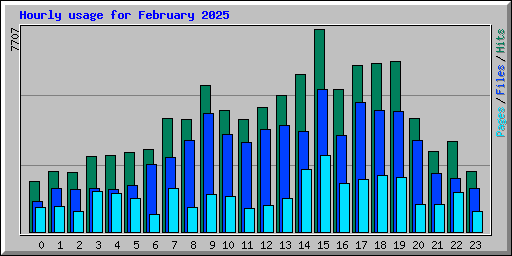 Hourly usage for February 2025