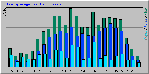 Hourly usage for March 2025