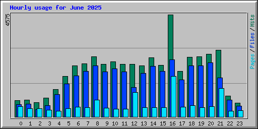 Hourly usage for June 2025
