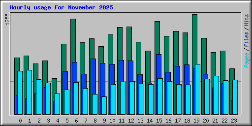 Hourly usage for November 2025