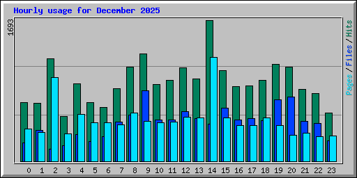 Hourly usage for December 2025