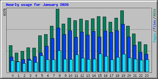 Hourly usage for January 2026