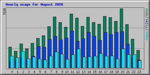 Hourly usage for August 2026